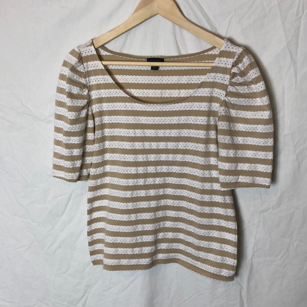 Ann Taylor Top (C)